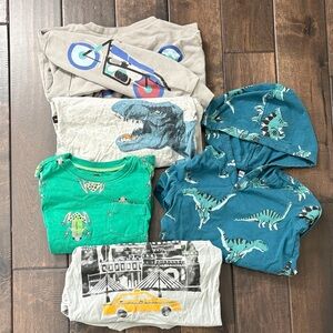 TEA COLLECTION Size 6 Boy Bundle Gray Crewneck, long sleeves, T shirt Dinosaurs